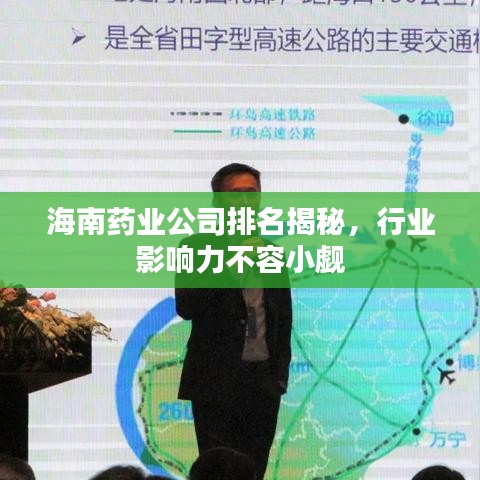 海南藥業(yè)公司排名揭秘，行業(yè)影響力不容小覷