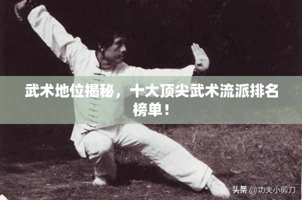 武術(shù)地位揭秘，十大頂尖武術(shù)流派排名榜單！
