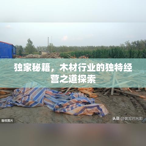 獨家秘籍，木材行業(yè)的獨特經(jīng)營之道探索