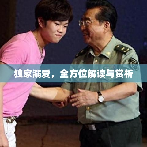 獨家溺愛，全方位解讀與賞析