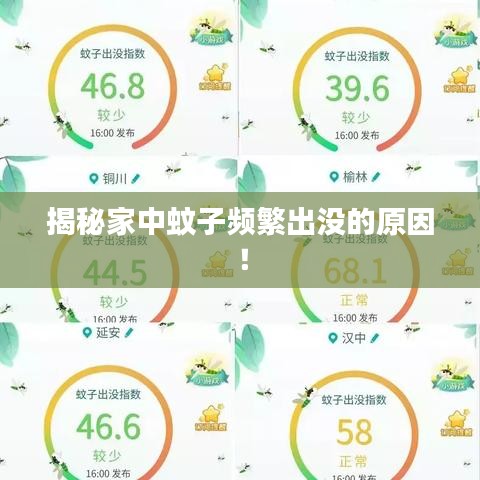 揭秘家中蚊子頻繁出沒的原因！