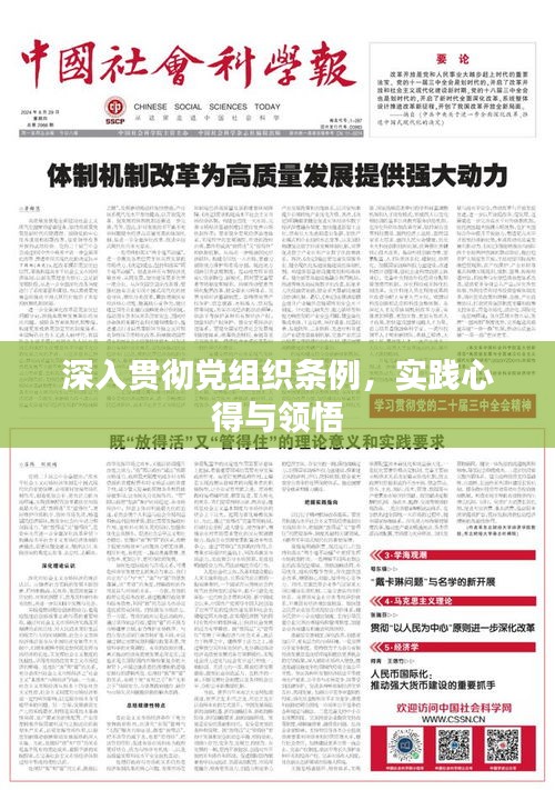 深入貫徹黨組織條例，實踐心得與領悟