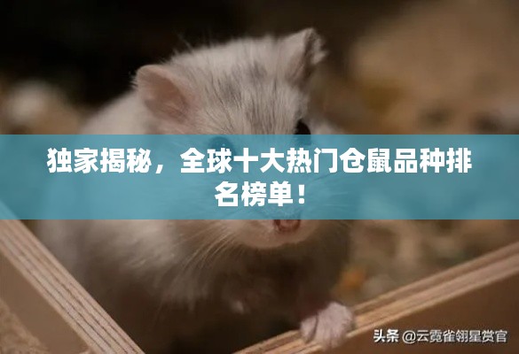 富貴驕人