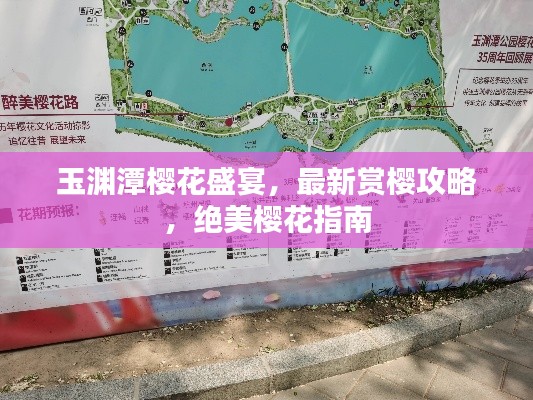 玉淵潭櫻花盛宴，最新賞櫻攻略，絕美櫻花指南