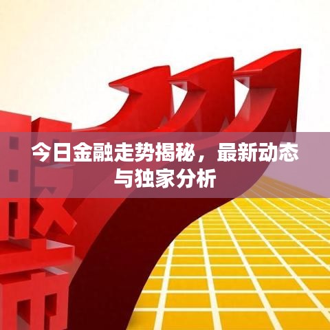今日金融走勢(shì)揭秘，最新動(dòng)態(tài)與獨(dú)家分析