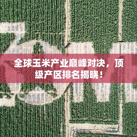 全球玉米產(chǎn)業(yè)巔峰對(duì)決，頂級(jí)產(chǎn)區(qū)排名揭曉！