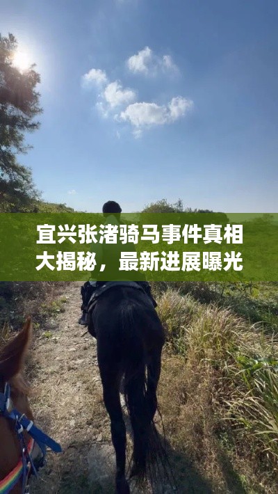 宜興張渚騎馬事件真相大揭秘，最新進(jìn)展曝光