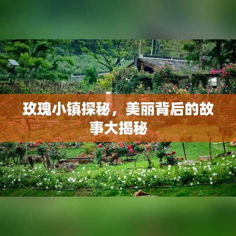 玫瑰小鎮(zhèn)探秘，美麗背后的故事大揭秘