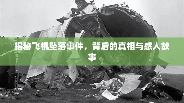 揭秘飛機(jī)墜落事件，背后的真相與感人故事