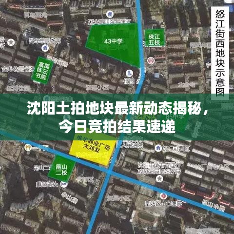 差強(qiáng)人意