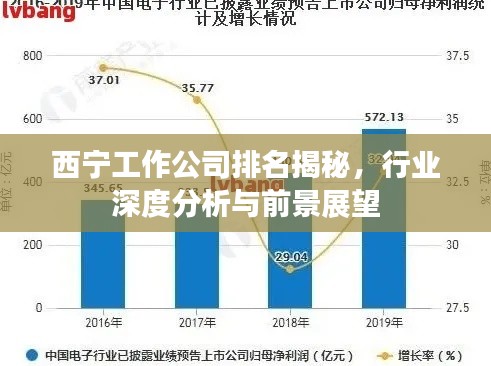 西寧工作公司排名揭秘，行業(yè)深度分析與前景展望