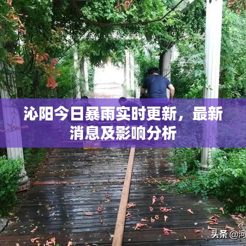 沁陽今日暴雨實時更新，最新消息及影響分析