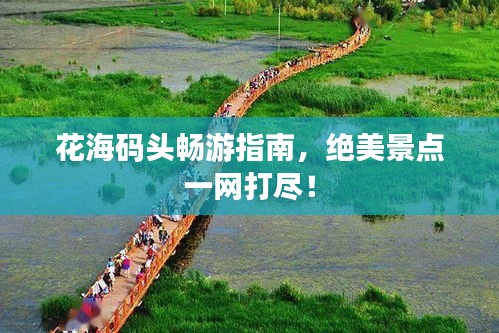 花海碼頭暢游指南，絕美景點(diǎn)一網(wǎng)打盡！