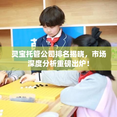 靈寶托管公司排名揭曉，市場(chǎng)深度分析重磅出爐！