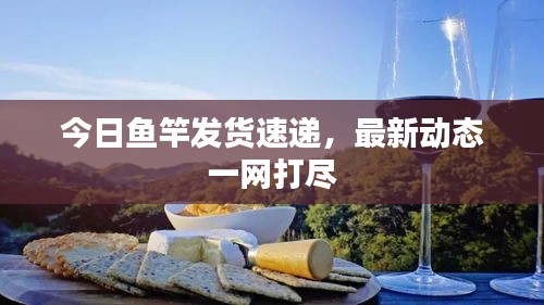 今日魚竿發(fā)貨速遞，最新動態(tài)一網(wǎng)打盡