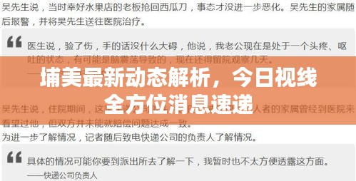 埔美最新動(dòng)態(tài)解析，今日視線全方位消息速遞