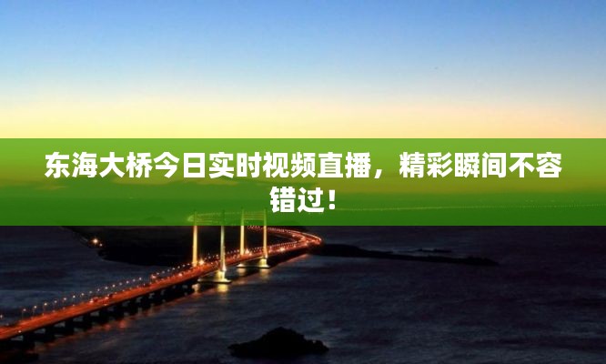 東海大橋今日實(shí)時視頻直播，精彩瞬間不容錯過！