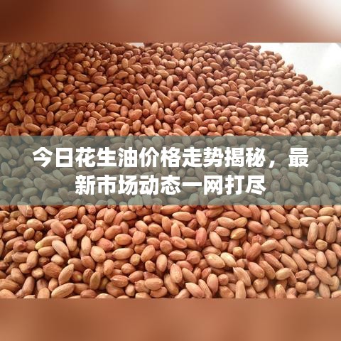 今日花生油價(jià)格走勢(shì)揭秘，最新市場(chǎng)動(dòng)態(tài)一網(wǎng)打盡
