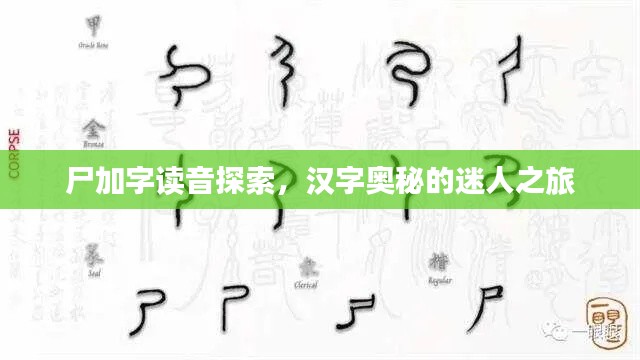 尸加字讀音探索，漢字奧秘的迷人之旅
