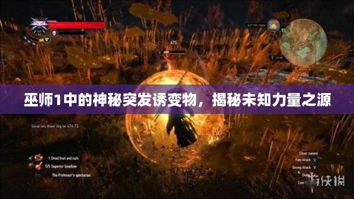 巫師1中的神秘突發(fā)誘變物，揭秘未知力量之源