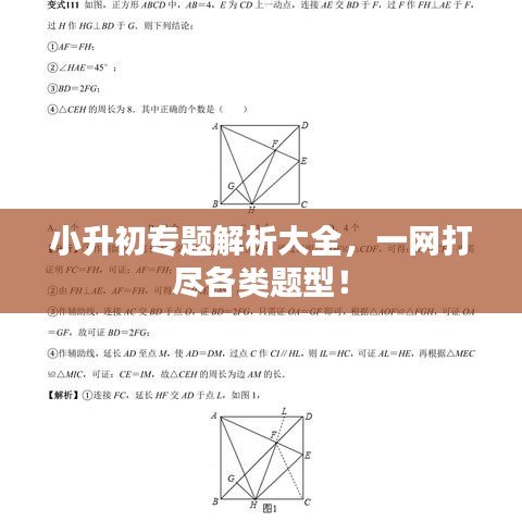 小升初專題解析大全，一網(wǎng)打盡各類題型！