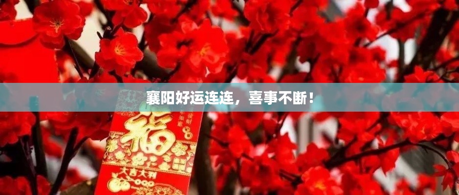 襄陽好運連連，喜事不斷！
