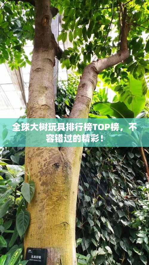 全球大樹玩具排行榜TOP榜，不容錯過的精彩！