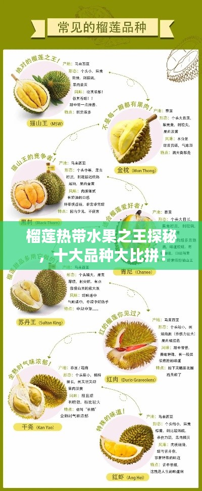 榴蓮熱帶水果之王探秘，十大品種大比拼！
