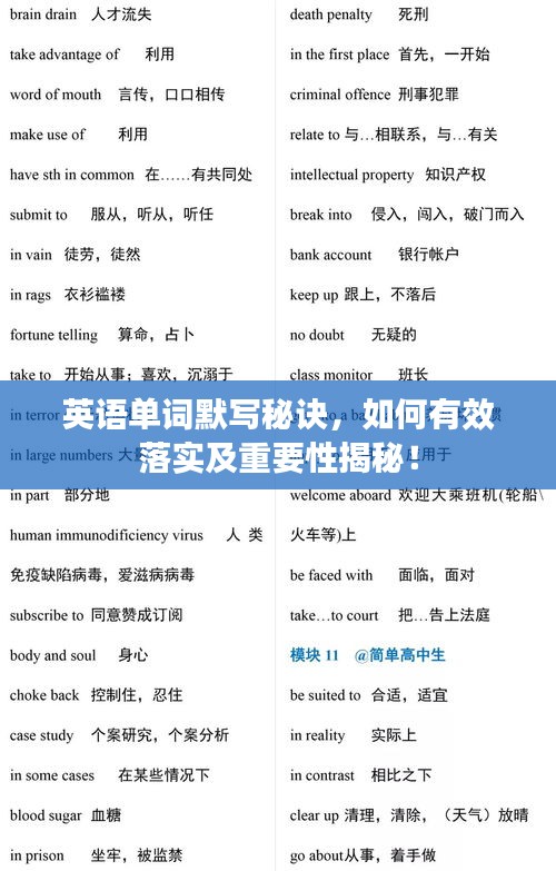英語(yǔ)單詞默寫(xiě)秘訣，如何有效落實(shí)及重要性揭秘！