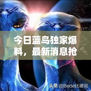 今日藍(lán)鳥(niǎo)獨(dú)家爆料，最新消息搶先看！