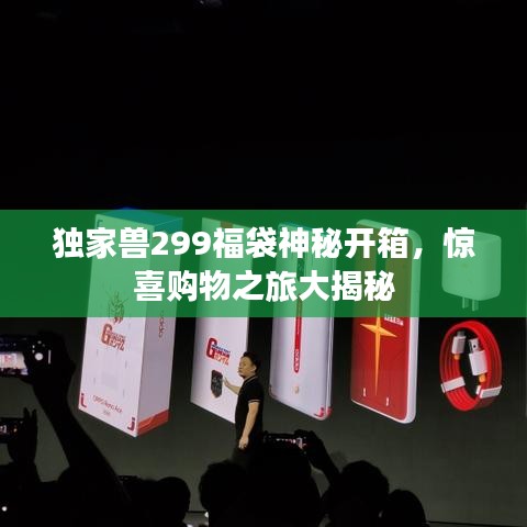 獨(dú)家獸299福袋神秘開箱，驚喜購(gòu)物之旅大揭秘
