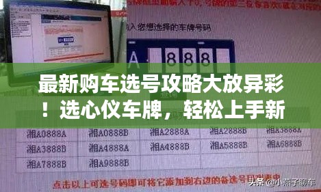 最新購車選號(hào)攻略大放異彩！選心儀車牌，輕松上手新車！
