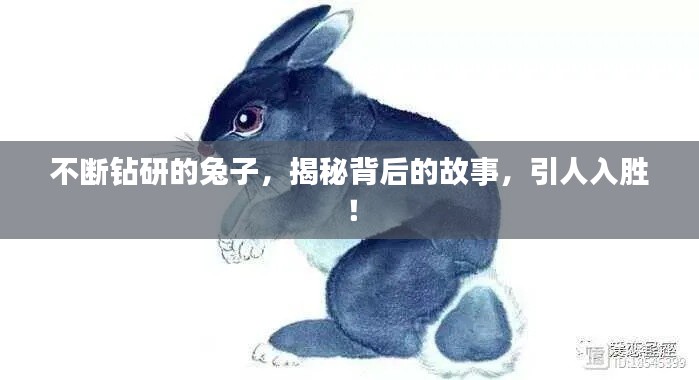 不斷鉆研的兔子，揭秘背后的故事，引人入勝！