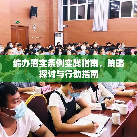 編辦落實條例實踐指南，策略探討與行動指南