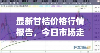 最新甘桔價格行情報告，今日市場走勢一網(wǎng)打盡！