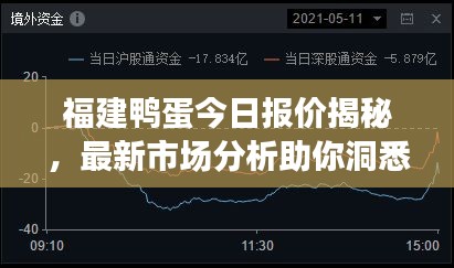 福建鴨蛋今日?qǐng)?bào)價(jià)揭秘，最新市場(chǎng)分析助你洞悉行情！