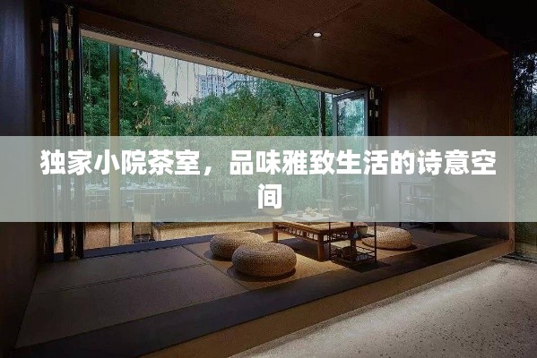 獨家小院茶室，品味雅致生活的詩意空間