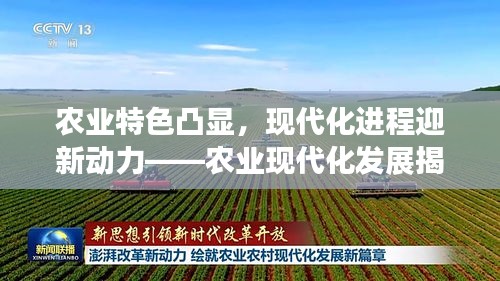 農(nóng)業(yè)特色凸顯，現(xiàn)代化進(jìn)程迎新動力——農(nóng)業(yè)現(xiàn)代化發(fā)展揭秘！