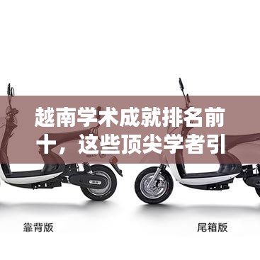 越南學(xué)術(shù)成就排名前十，這些頂尖學(xué)者引領(lǐng)全球創(chuàng)新浪潮！