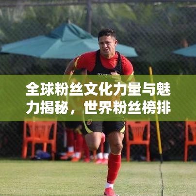 全球粉絲文化力量與魅力揭秘，世界粉絲榜排名探索