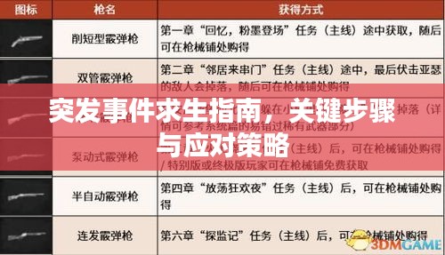 突發(fā)事件求生指南，關(guān)鍵步驟與應(yīng)對(duì)策略