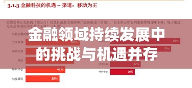 金融領域持續(xù)發(fā)展中的挑戰(zhàn)與機遇并存