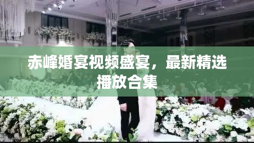 赤峰婚宴視頻盛宴，最新精選播放合集