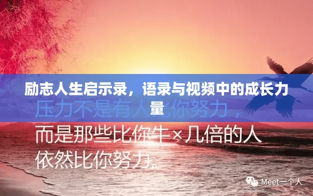 韋編三絕
