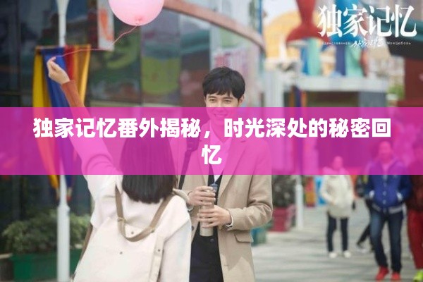 獨家記憶番外揭秘，時光深處的秘密回憶