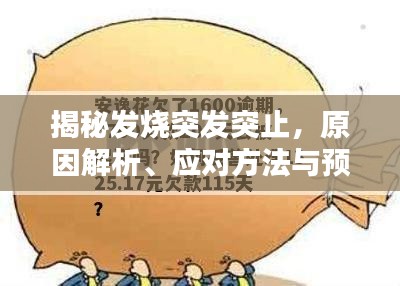 揭秘發(fā)燒突發(fā)突止，原因解析、應(yīng)對方法與預(yù)防策略全攻略