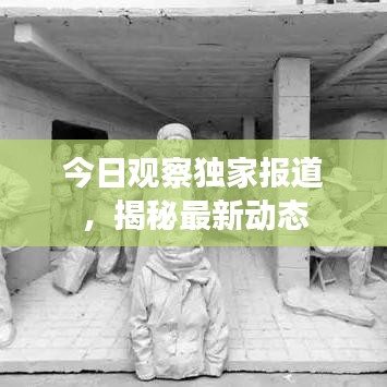 今日觀察獨(dú)家報(bào)道，揭秘最新動態(tài)