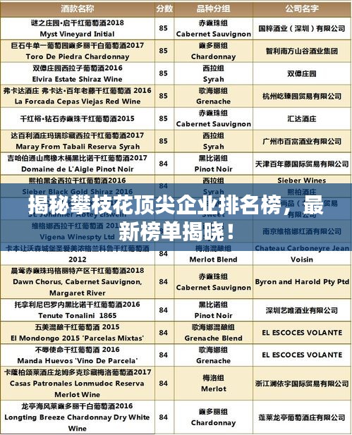 揭秘攀枝花頂尖企業(yè)排名榜，最新榜單揭曉！