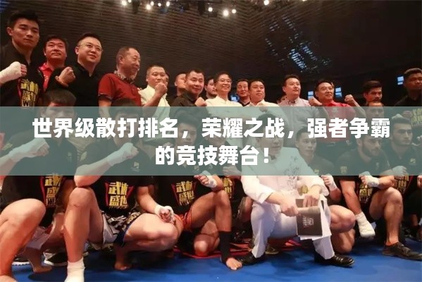 世界級散打排名，榮耀之戰(zhàn)，強者爭霸的競技舞臺！