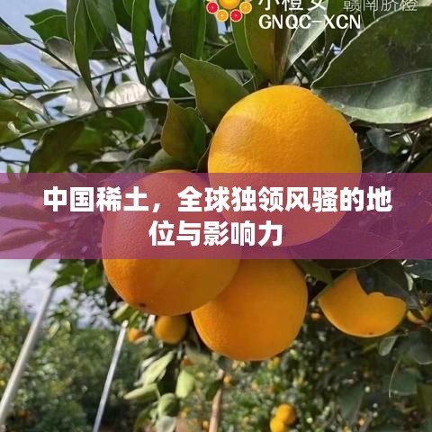 中國(guó)稀土，全球獨(dú)領(lǐng)風(fēng)騷的地位與影響力